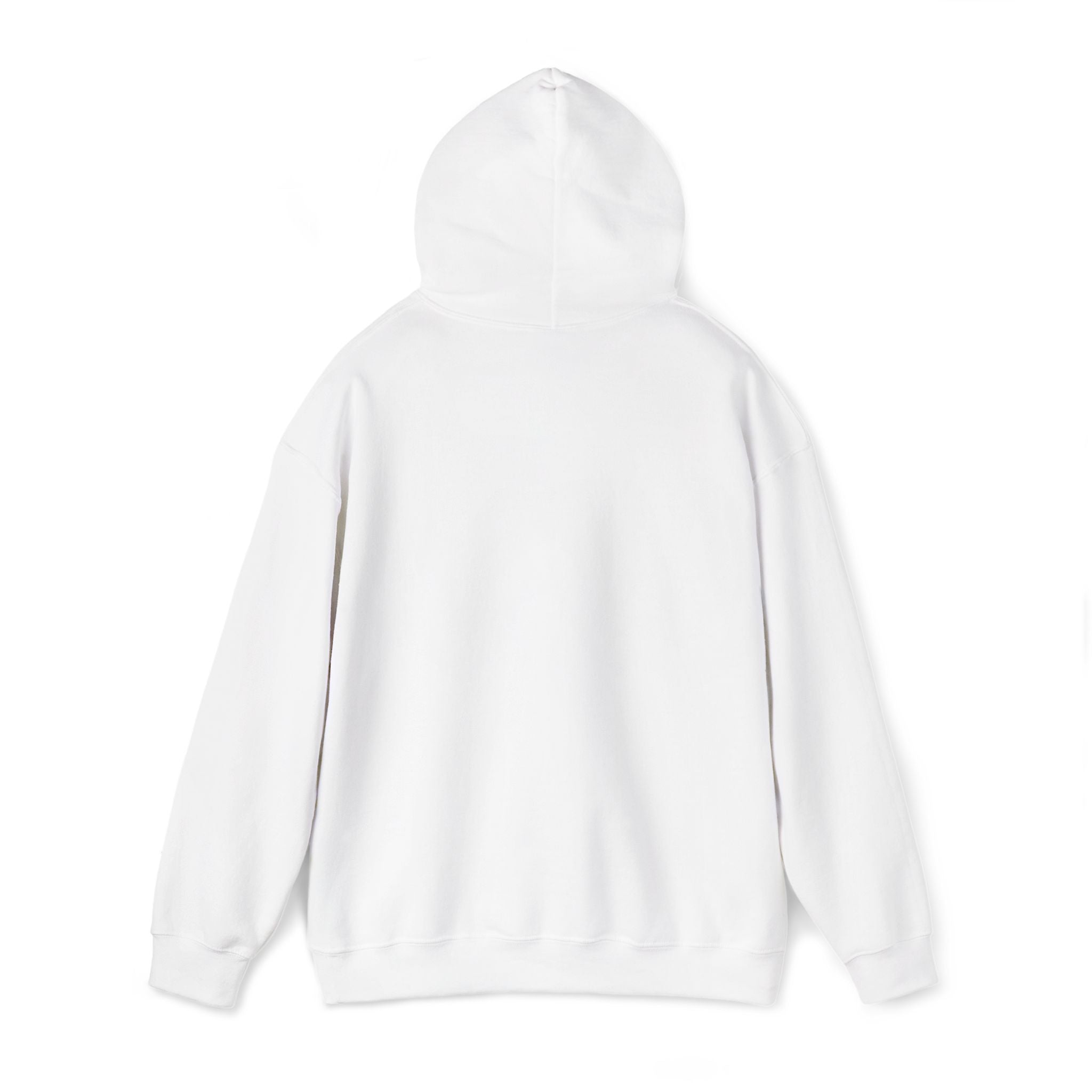 CLASSIC HOODIE