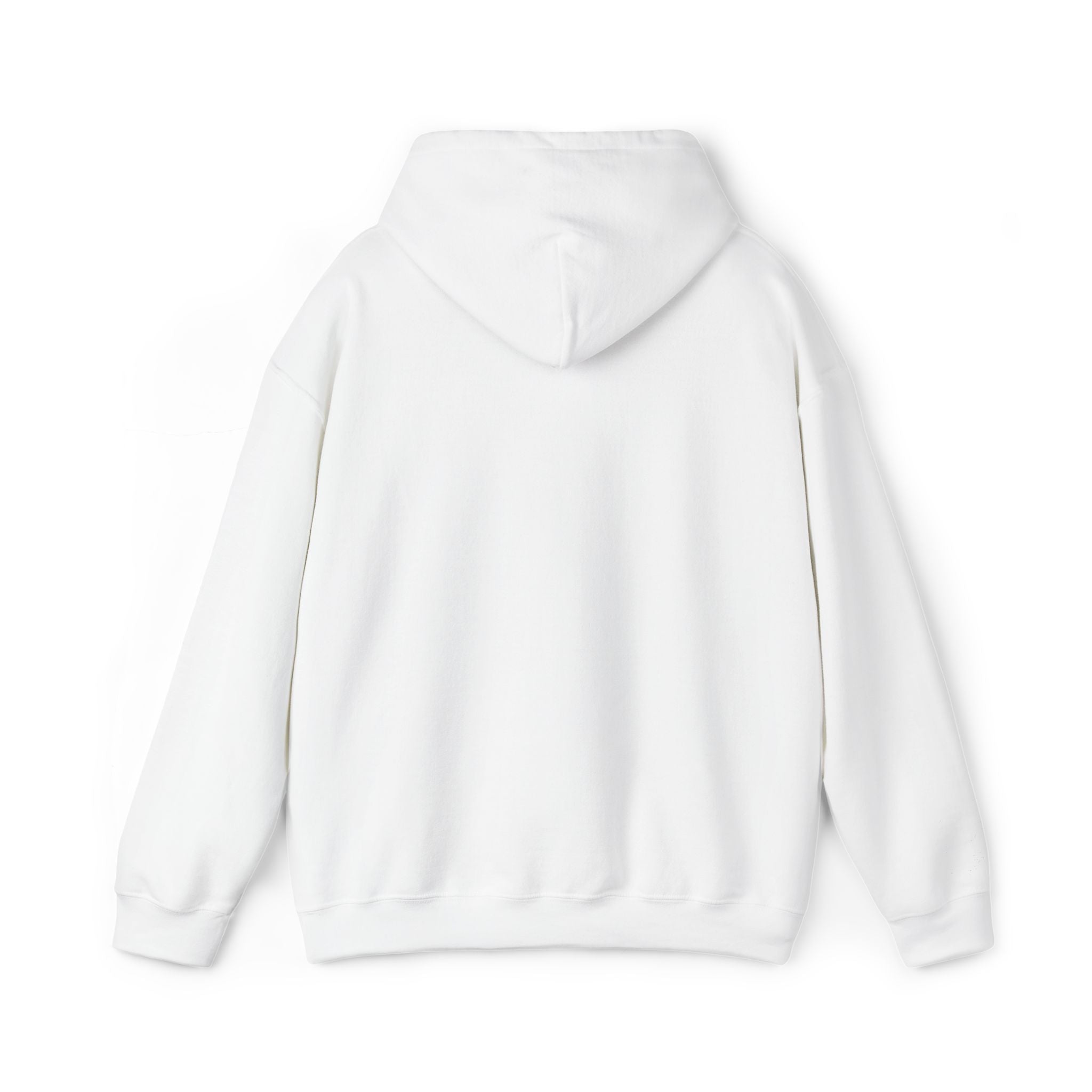 CLASSIC HOODIE