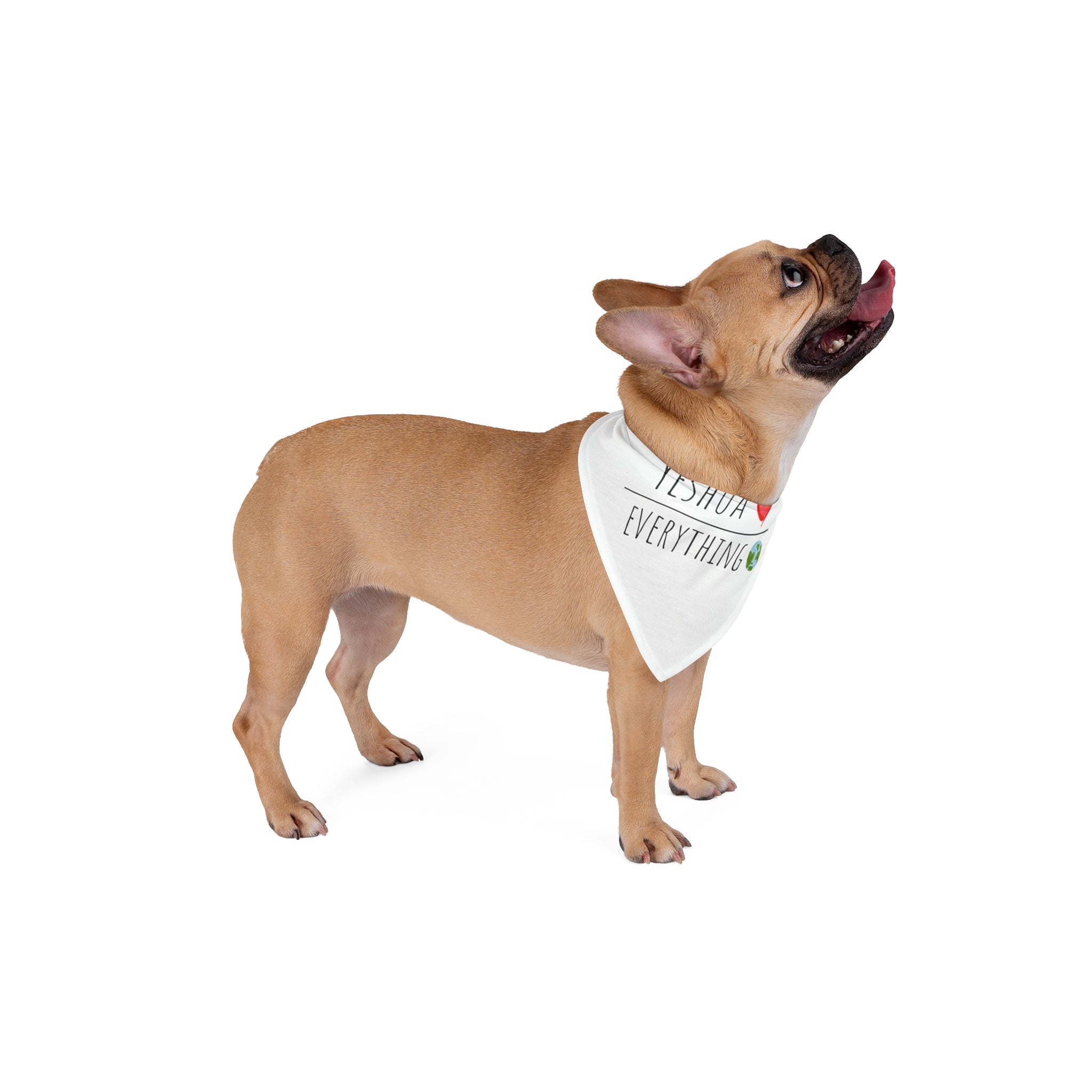 DOG BANDANA