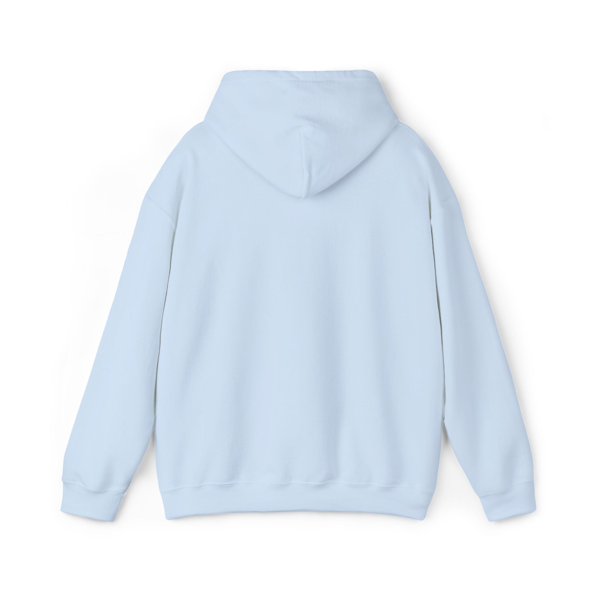 CLASSIC HOODIE