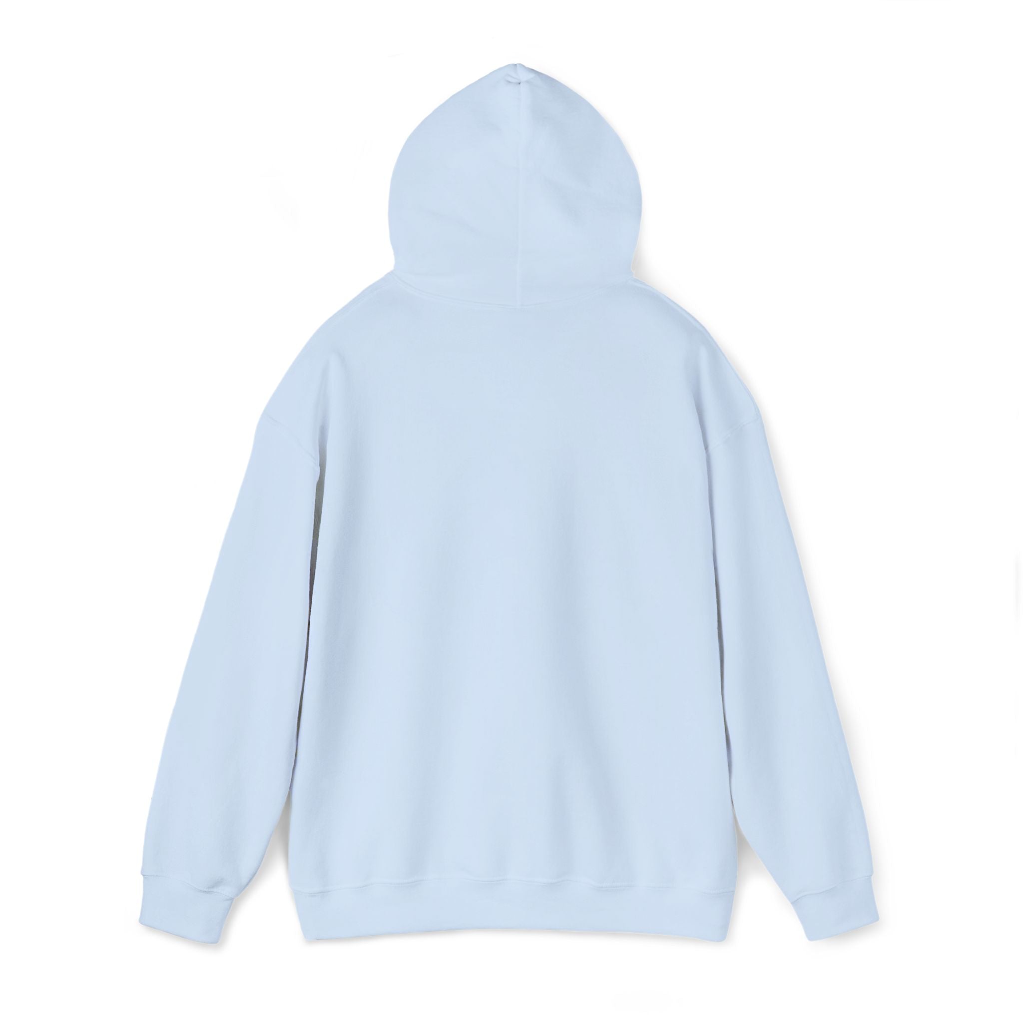 CLASSIC HOODIE